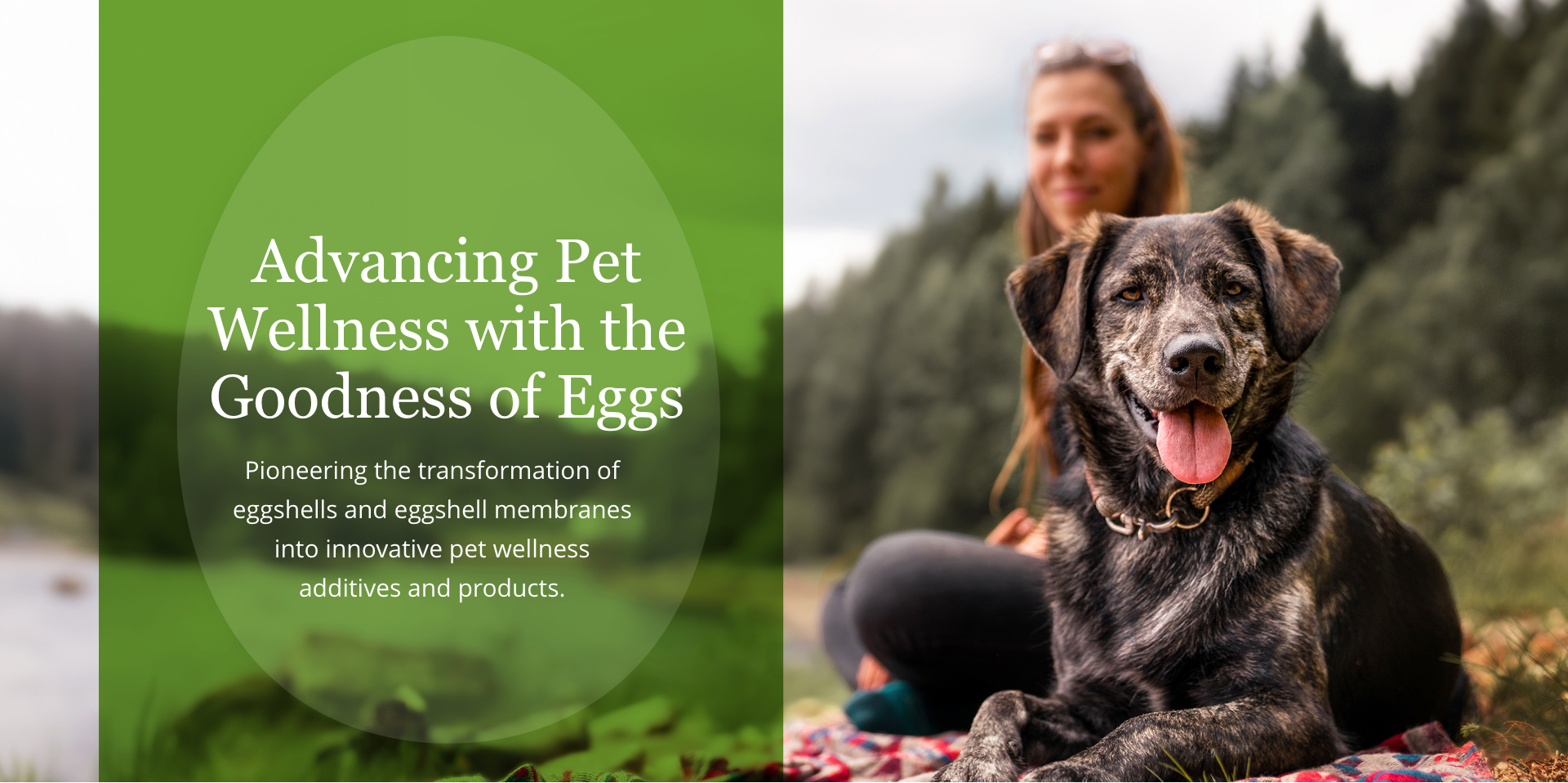 Pet Wellness